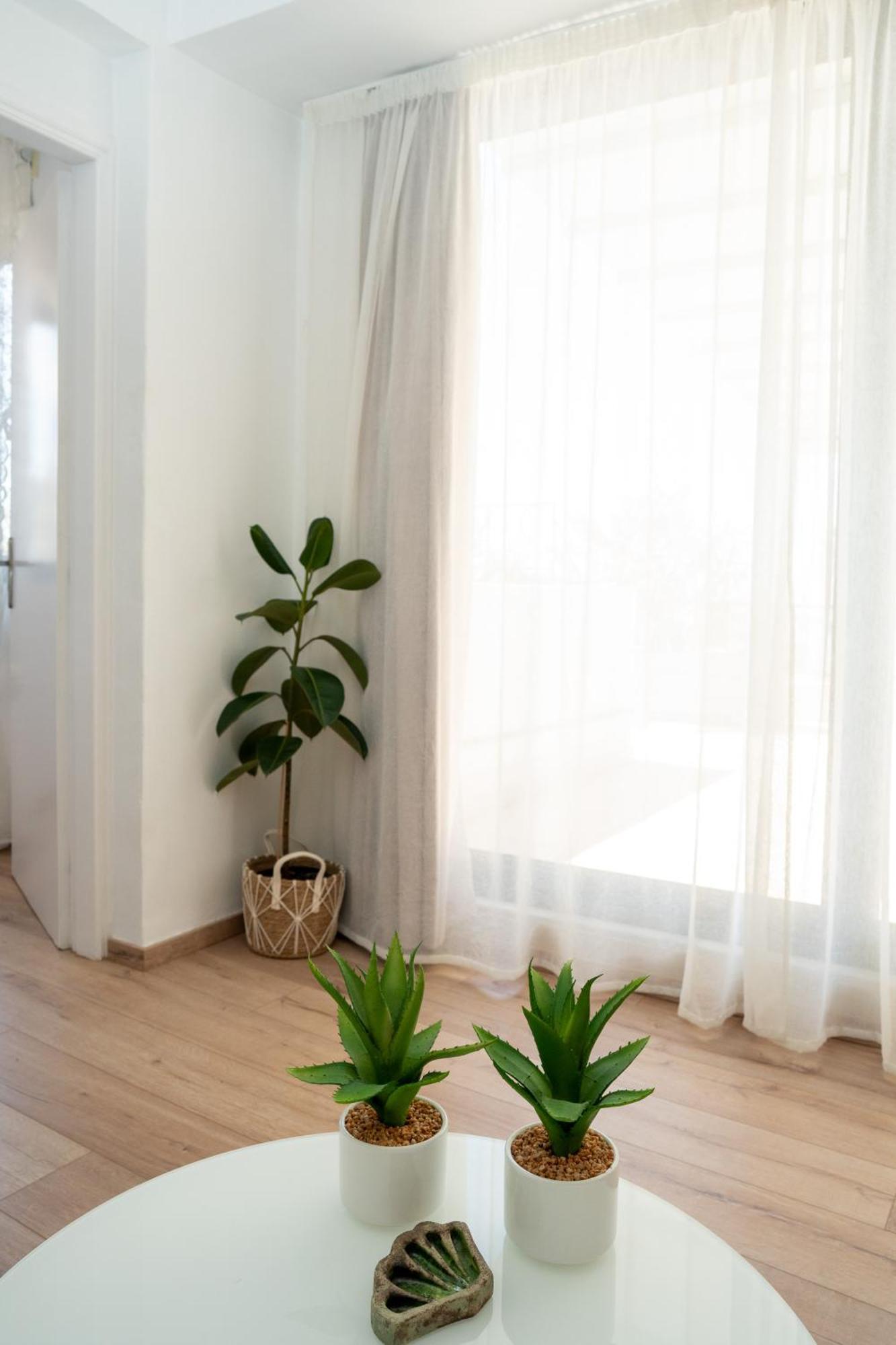 V&V Acropolis View Apartment 아테네 외부 사진